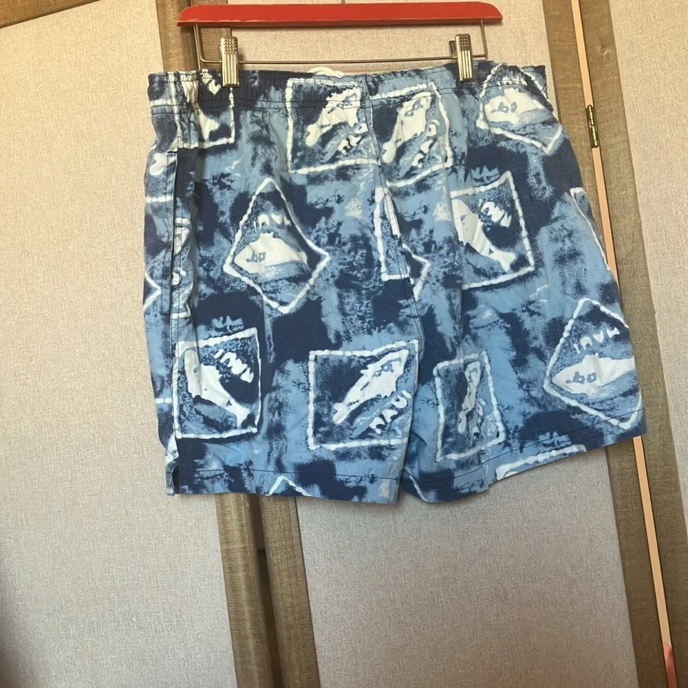 FINAL MARKDOWN Pacific scene men’s Blue Patterned Swim Shorts large